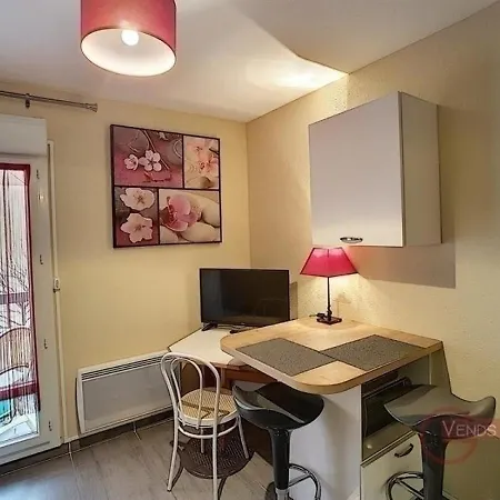 Studio Renove Avec Wifi Et Animaux Acceptes, Proche De Lamalou-Les-Bains - Fr-1-451-124 Apartmán *